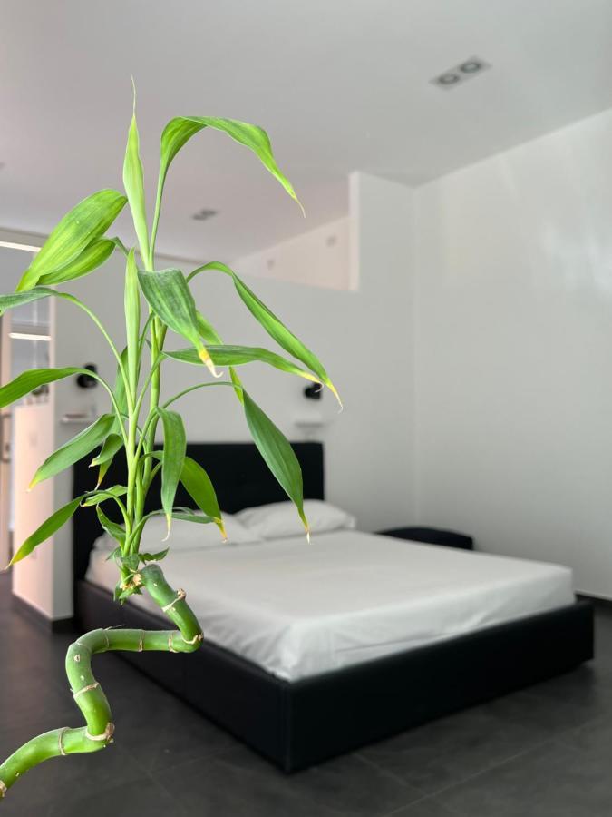 Loft Galla Placidia Ravenna Esterno foto